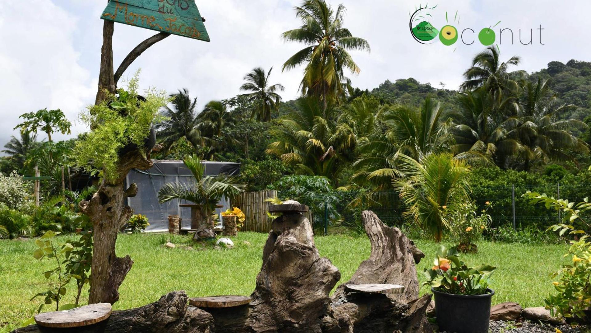 Appartement O Logis Du Morne Jacob "Coco", Le Morne-Rouge Martinique Extérieur photo